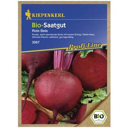 Rote Bete vulgaris subsp. vulgaris Beta Rote Bete vulgaris subsp. vulgaris Beta