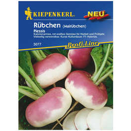 Rübchen Brassica rapa »Plessis«