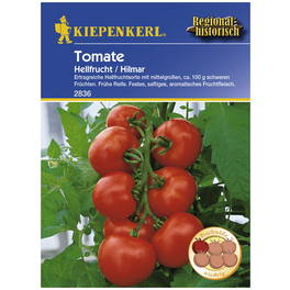 Salat-Tomate lycopersicum Solanum »Hilmar«