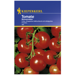 Salat-Tomate lycopersicum Solanum »Moneymaker«