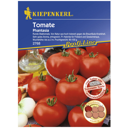 Salat-Tomate lycopersicum Solanum »Phantasia«
