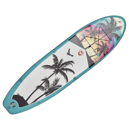 Stand Up Paddle Set, 81 x 15 x 305 cm Stand Up Paddle Set, 81 x 15 x 305 cm
