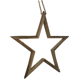 Star »Terra Sierra AWX2020«, Höhe: 6 cm, Tannenholz, braun
