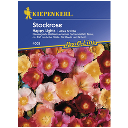 Stockrose, Alcea ficifolia, Samen, Blüte: mehrfarbig