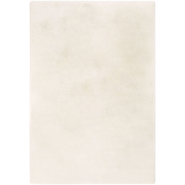 Teppich »Novara«, BxL: 60 x 120 cm, beige