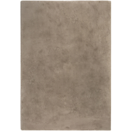 Teppich »Novara«, BxL: 60 x 120 cm, taupe