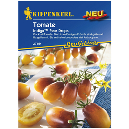 Tomate (Cherry-Tomate) Solanum lycopersicum »IndigoTM Pear Drops«