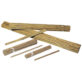 Tonkinstäbe, bambus