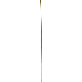 Tonkinstäbe, bambus, Höhe: 150 cm Tonkinstäbe, bambus, Höhe: 150 cm