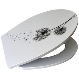 WC-Sitz, Duroplast, oval, mit Softclose-Funktion