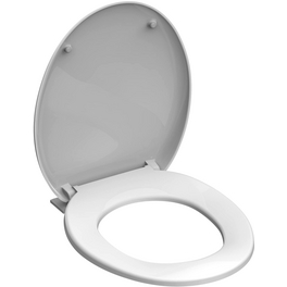 WC-Sitz, Kunststoff, oval, mit Softclose-Funktion