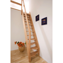 Wechseltritttreppe »Spessart«, 12 Stufen, max. Geschosshöhe 280 cm