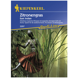 Zitronengras citratus Cymbopogon Zitronengras citratus Cymbopogon