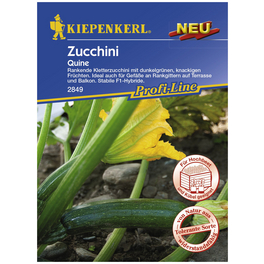 Zucchini pepo Cucurbita Zucchini pepo Cucurbita