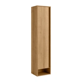 Hochschrank »NATURA«, links, 1 Tür, Asteiche ,BxHxT: 38 x 166,5 x 32 cm