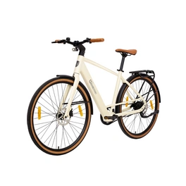 E-Bike »C3M Roma«, 28 Zoll, 25 km/h, Reichweite: 100 km, LCD-Display