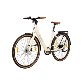 E-Bike »C3F Roma«, 28 Zoll, 25 km/h, Reichweite: 100 km, LCD-Display