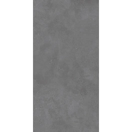 Feinsteinzeugfliese »Betonico«, LxB: 60 x 120 cm, frostsicher, Abrieb 4