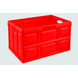 Klappbox, BxHxL: 35,2 x 23,5 x 47,5 cm, 32 l, rot