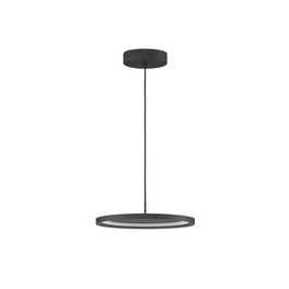 Pendelleuchte »Andria «, LED, 30 W, Höhe: 180 cm, schwarz