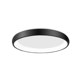 Deckenleuchte »Albi «, LED, 50 W, Höhe: 8,5 cm, schwarz