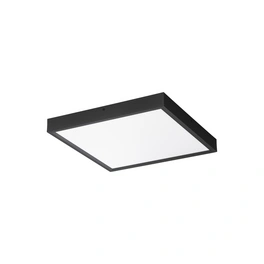 Deckenleuchte »Ithos«, LED, 32 W, Höhe: 4,5 cm, schwarz