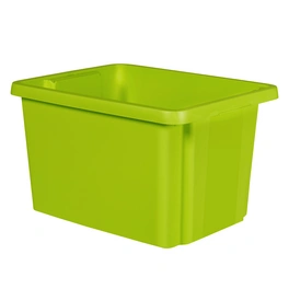 Stapelbox »ESSENTIALS«, 26 l, 42,5x33,5x26,2 cm, grün