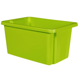 Stapelbox »ESSENTIALS«, 45 l, 56x38,7x29,1 cm, grün