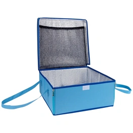 Aufbewahrungsbehälter, BxHxT: 38 x 17 x 38 cm, blau