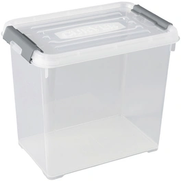 Aufbewahrungsbox, BxHxL: 30 x 25,4 x 19,5 cm, Kunststoff