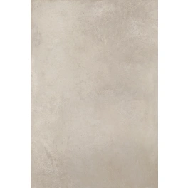 Bodenfliese »Elba«, BxLxS: 60 x 120 x 0,95 cm, Feinsteinzeug, beige