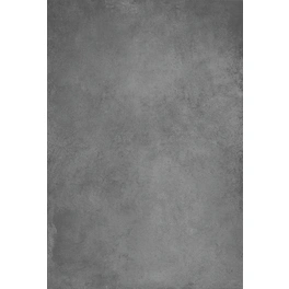 Bodenfliese »Elba«, BxLxS: 60 x 120 x 0,95 cm, Feinsteinzeug, grau