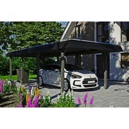 Carport »Wendland«, BxT: 362 x 870 cm, Firsthöhe: 243 cm, farbbehandelt