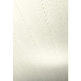 Dekorpaneele »Rapido«, Eschefarben weiß geplankt, Holzwerkstoff, Stärke: 12 mm