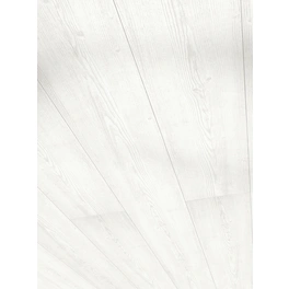 Dekorpaneele »Rapido«, pinie weiß, Holzwerkstoff, Stärke: 12 mm