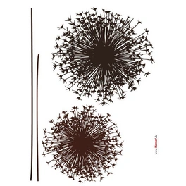 Dekosticker »Pusteblume«, BxH: 50 x 70 cm