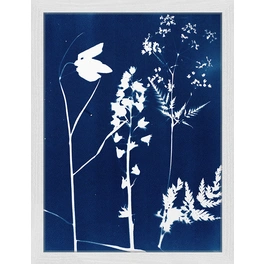 Digitaldruck »Blumen in Blau«, Rahmen: Buchenholz, weiß