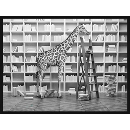 Digitaldruck »Giraffe in der Bücherei«, Rahmen: Buchenholz, Schwarz