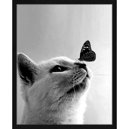 Digitaldruck »Hübsche Katze«, Rahmen: Buchenholz, Schwarz