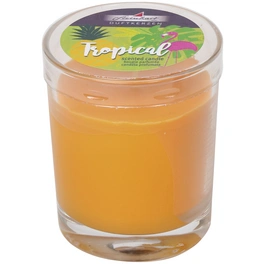 Duftkerze, papayaorange, Duft: Tropical Fruits