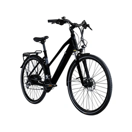 E-Bike 28 Zoll, RH: 52 cm, 24-Gang