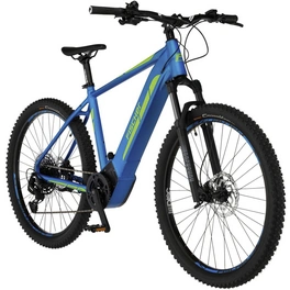 E-Bike 29 Zoll, RH: 46 cm, 12-Gang