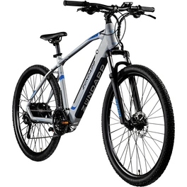 E-Bike 29 Zoll, RH: 48 cm, 27-Gang