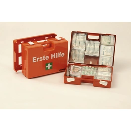 Erste-Hilfe-Koffer »SAN«, BxL: 31 x 21 cm, orange