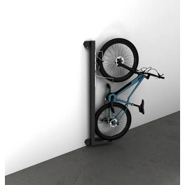 Fahrradhalterung, Länge: 180 cm, dunkelgrau-metallic, für: Biohort Gerätehaus