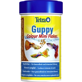 Fischfutter »Guppy Colour«, 100 ml