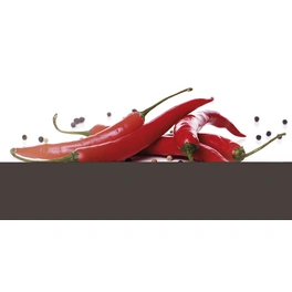 Glasboard »Fiery Chili + Pepper«, mehrfarbig, Glas
