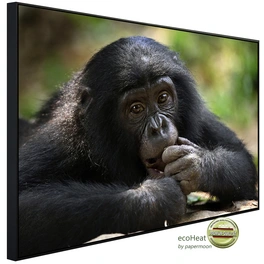 Infrarotheizung »EcoHeat - Bonobo«, Matt-Effekt