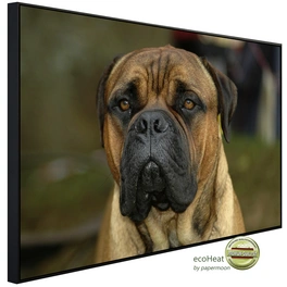 Infrarotheizung »EcoHeat - Bullmastiff«, Matt-Effekt