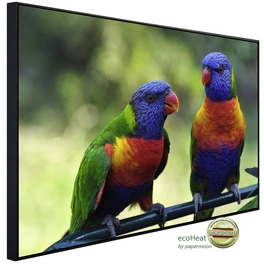 Infrarotheizung »EcoHeat - Regenbogen Lorikeets Vögel«, Matt-Effekt